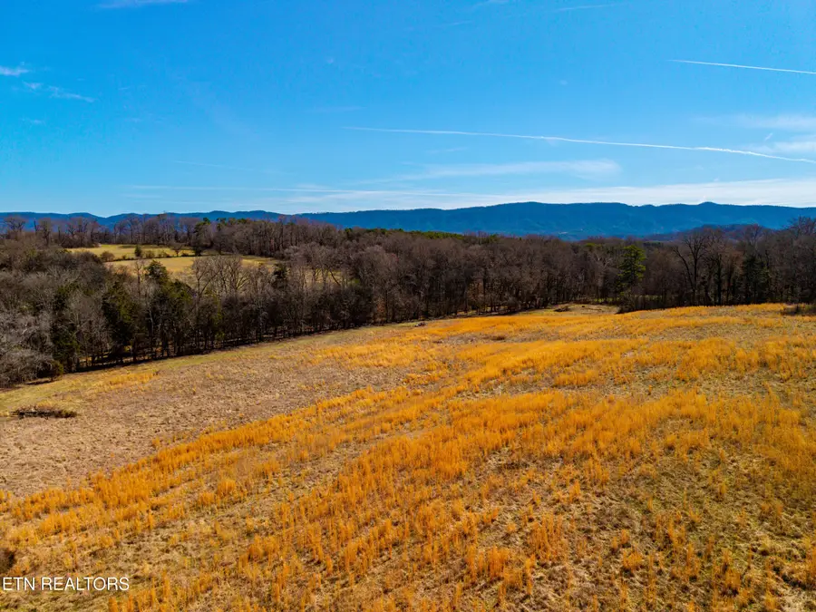 Baumgardner Rd, Maryville, TN 37803 - #2