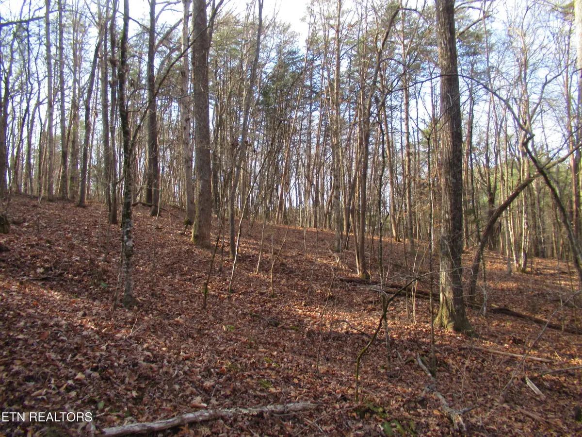 Tomotley Rd, Maryville, TN 37801 - #1