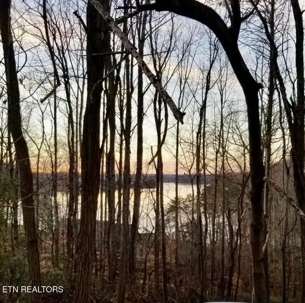 196 E Cove Drive, Greenback, TN 37742