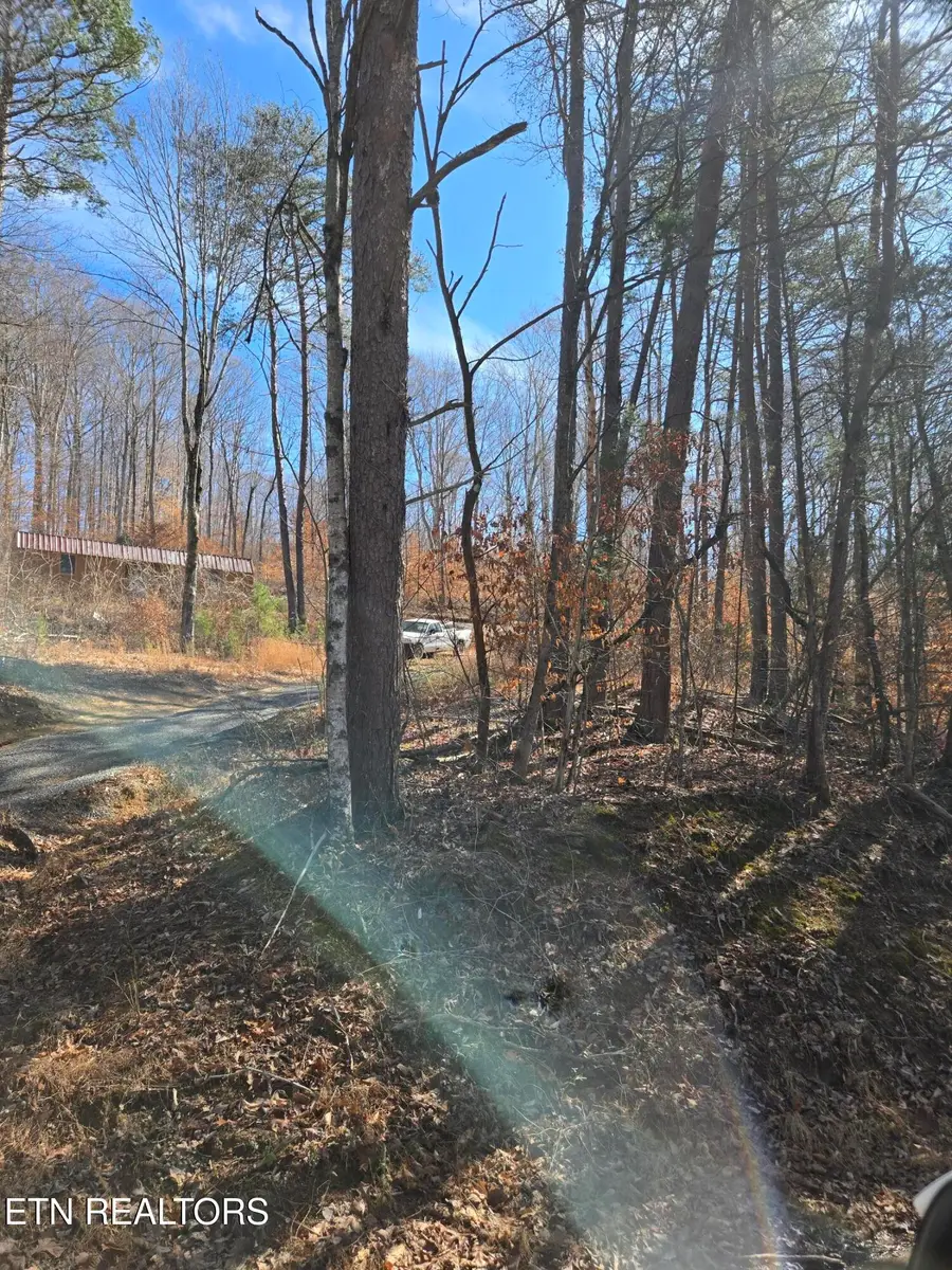 204 Archer Rd, Luttrell, TN 37779 - #2