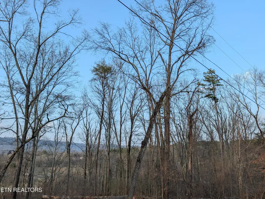 000 Pine Breeze Circle, Rockwood, TN 37854 - #3