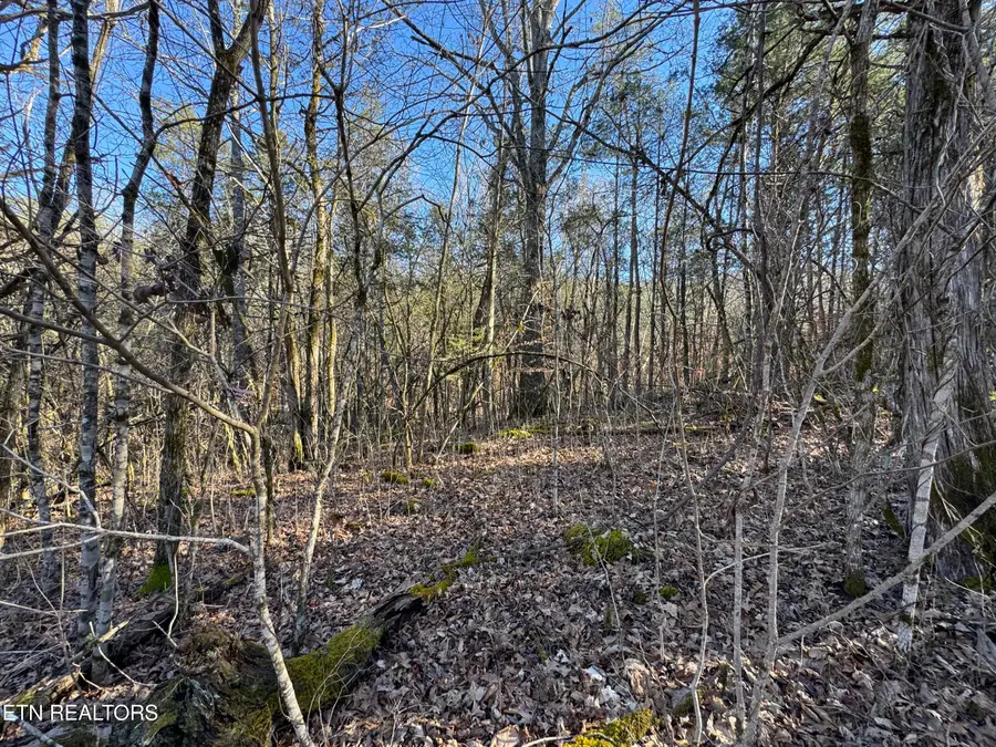 Tn-131, Treadway, TN 37881 - #3