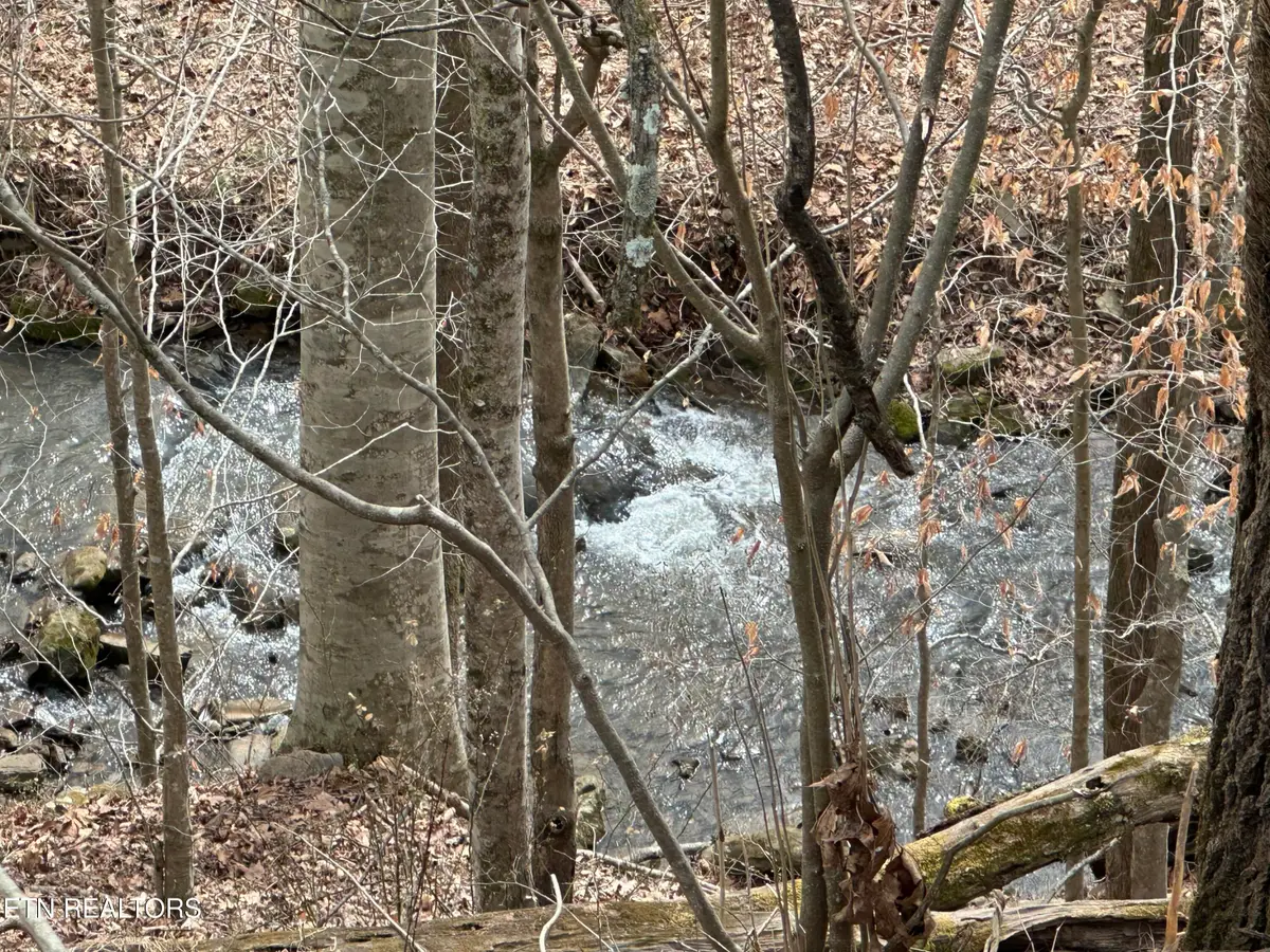 Aj Osborne Hwy, Blackwater, VA 24221 - #1