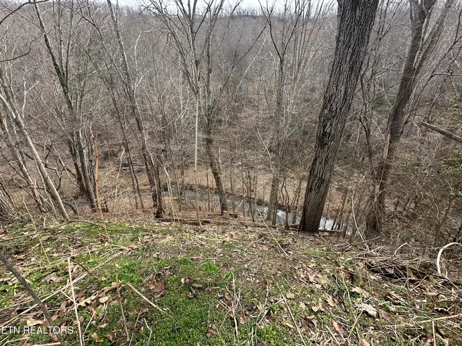 Aj Osborne Hwy, Blackwater, VA 24221 - #3