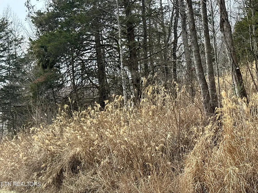 Aj Osborne Hwy, Blackwater, VA 24221 - #3