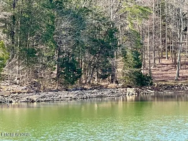 E Shore Drive, Rockwood, TN 37854 - #2