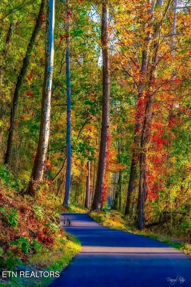 105 Cozy Manor Way, Clinton, TN 37716 - #2