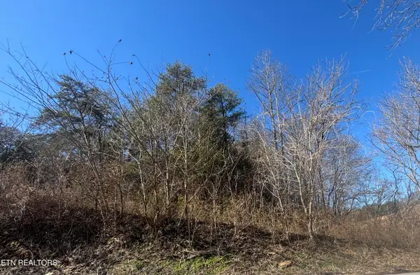 Tract 4 Rule Hollow Rd, Sevierville, TN 37876