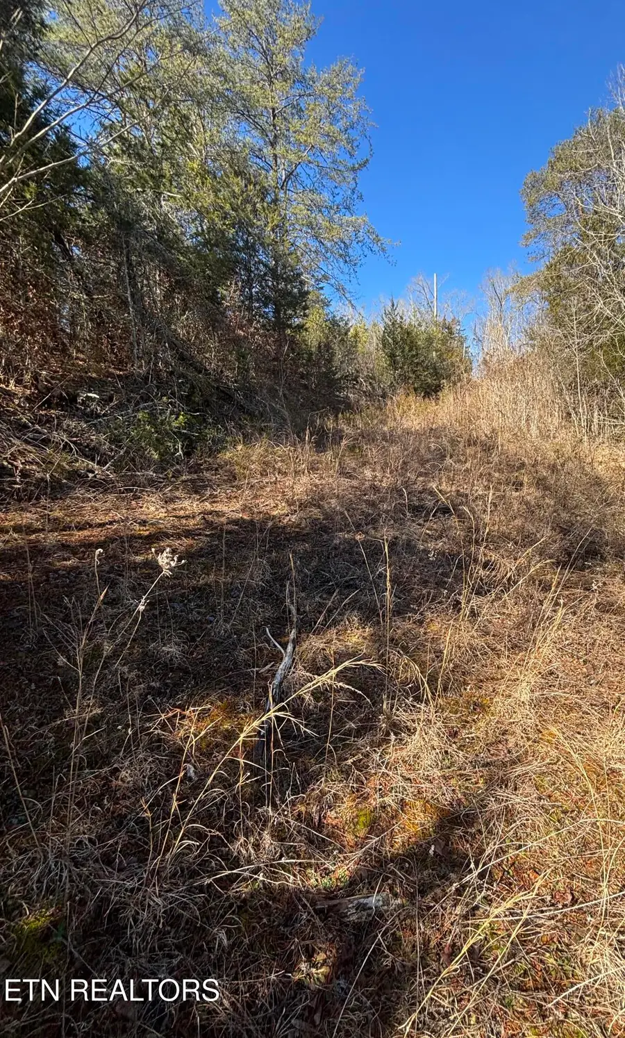 Tract 4 Rule Hollow Rd, Sevierville, TN 37876 - #2