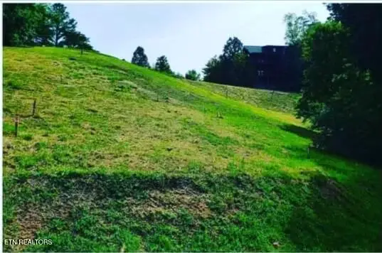 1624 Mountain Lodge Way, Pigeon Forge, TN 37862 - #1