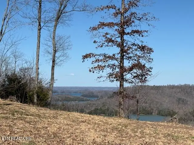 N Rock Fish Rd, Hilham, TN 38568 - #2