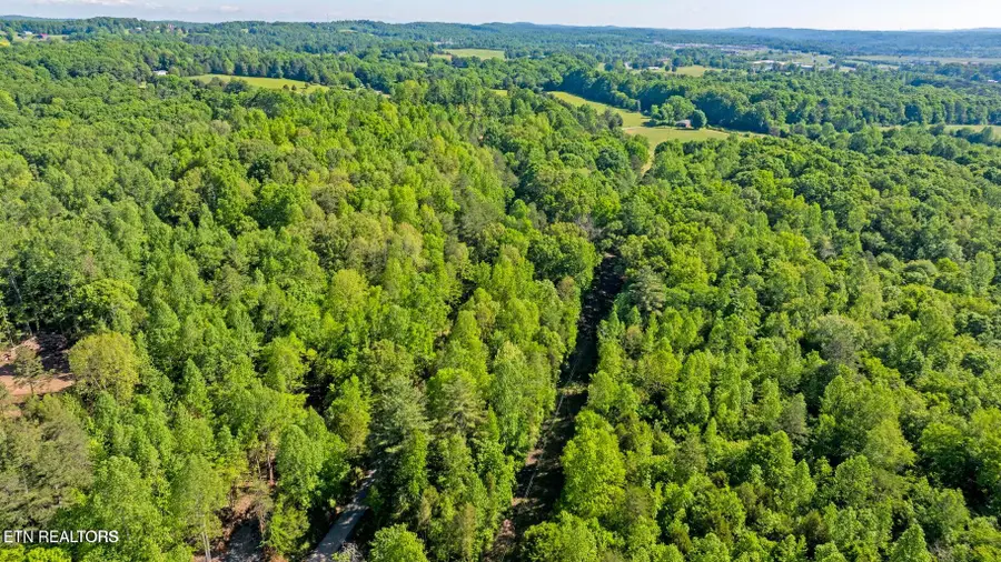 271 County Road 121, Athens, TN 37303 - #2