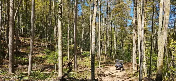 Bunch Hollow Rd, New Tazewell, TN 37825