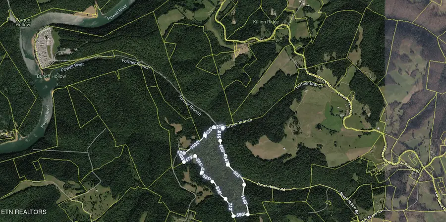 Bunch Hollow Rd, New Tazewell, TN 37825 - #2