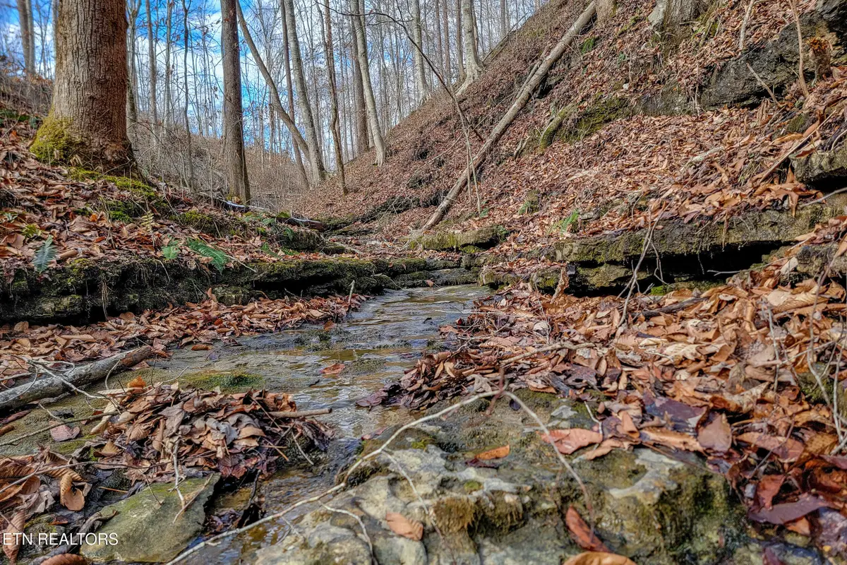 6.24 Acres Hutchins Bend Rd, Sparta, TN 38583 - #1