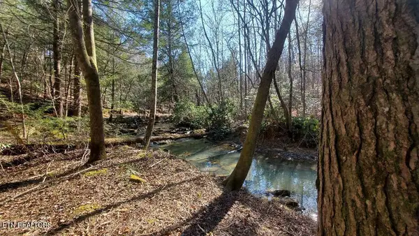 Sheep Ranch Rd, Robbins, TN 37852