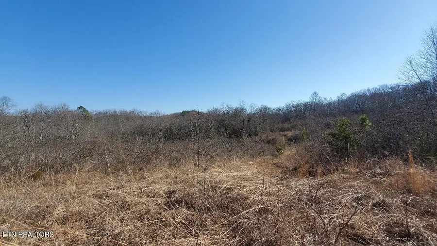 Sheep Ranch Rd, Robbins, TN 37852 - #2