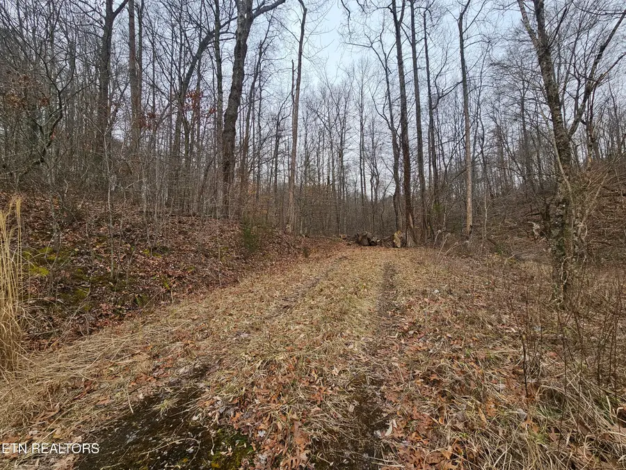 Wilderness Rd, Jonesville, VA 24263 - #3