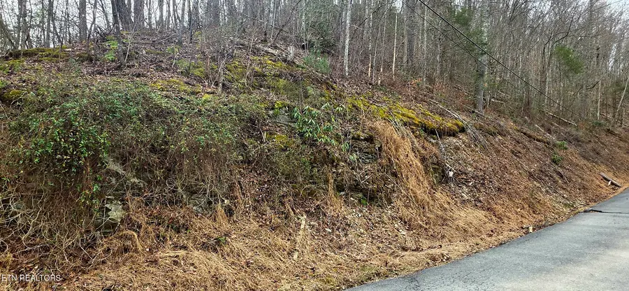 Lot 0006 Wildcat Ridge Rd, Sevierville, TN 37862 - #2