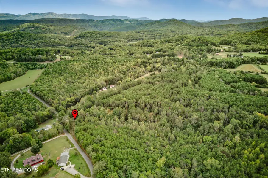 173 Akins Rd, Tellico Plains, TN 37385 - #3