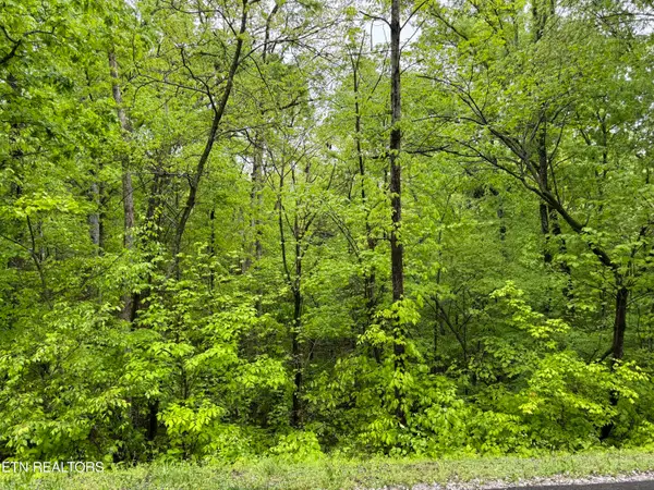 104 Chanusi Way, Loudon, TN 37774