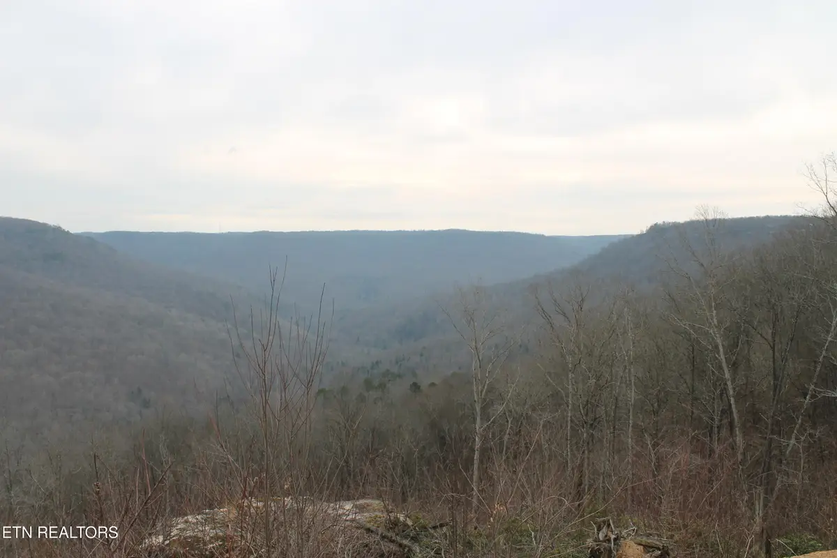 E Bobcat Lane, Jamestown, TN 38556 - #1