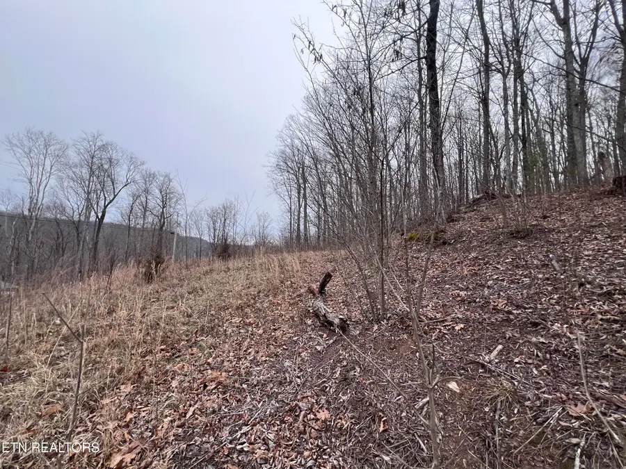 Lot 62 Apache Rd, Jamestown, TN 38556 - #3