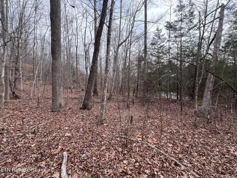 Buffalo Cove Lane, Jamestown, TN 38556 - #3