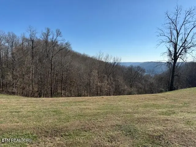 00 Smithville Hwy, Silver Point, TN 38582 - #2