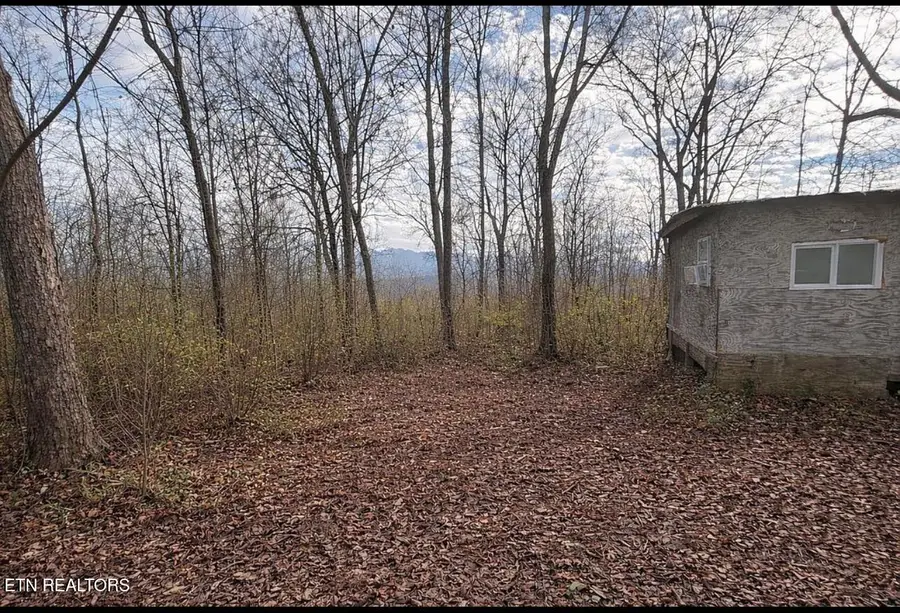 245 Center Lane, New Tazewell, TN 37825 - #2