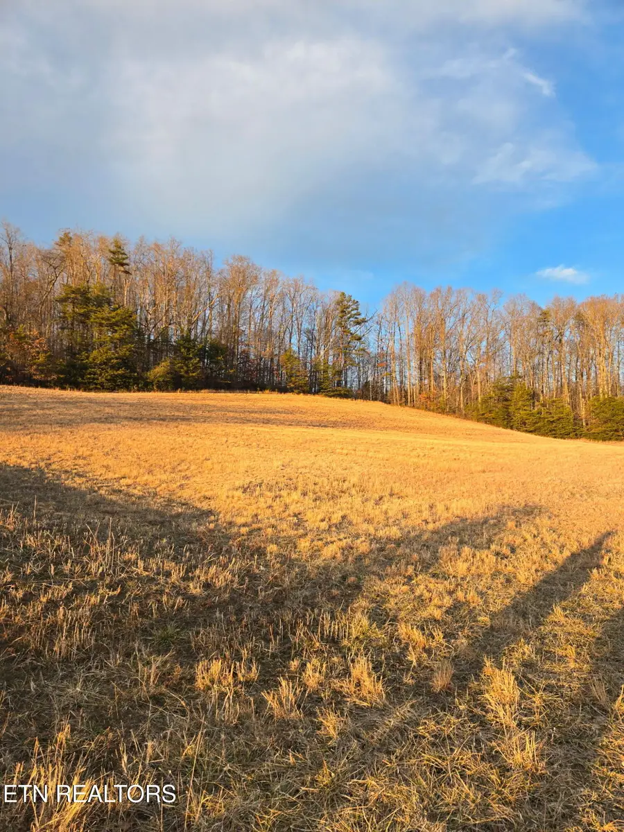 Monroe Lane, Sharps Chapel, TN 37866 - #3