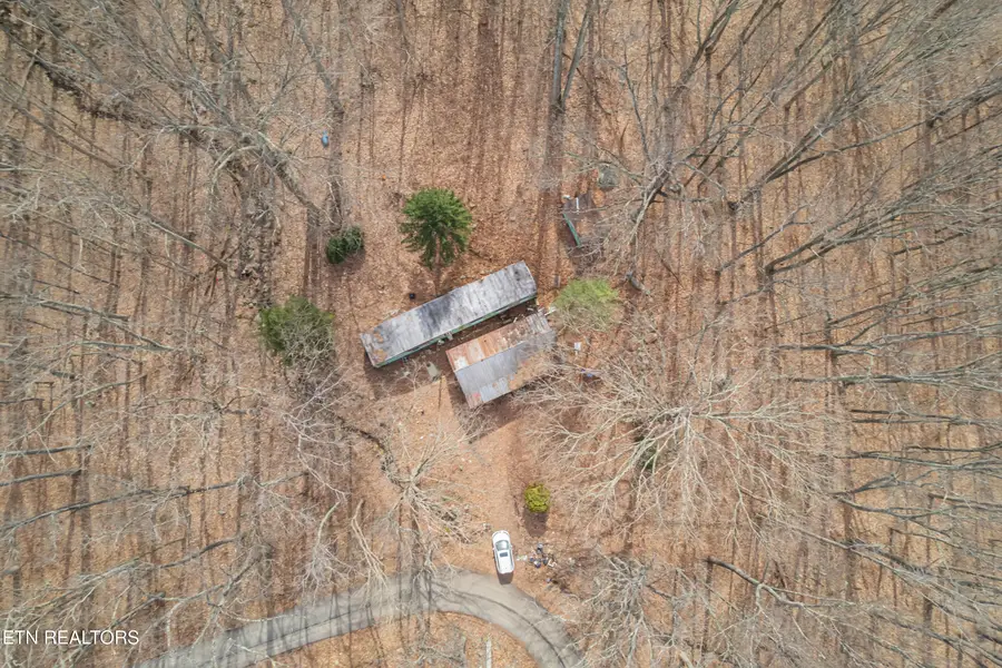 3696 Collier Loop, Dandridge, TN 37725 - #3