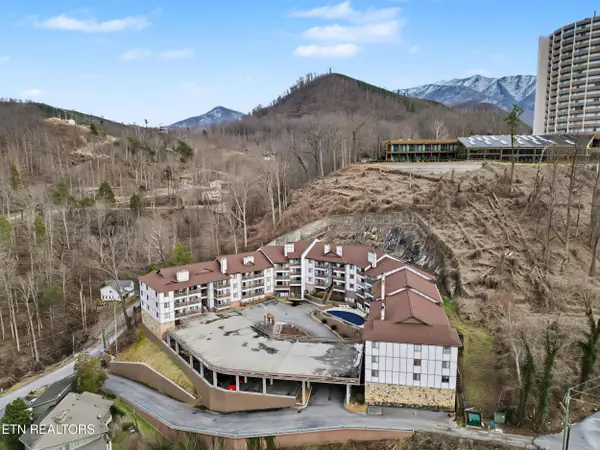 616 Turkey Nest Rd #APT 313, Gatlinburg, TN 37738