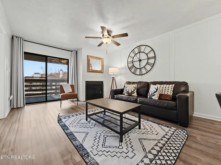 616 Turkey Nest Rd #APT 313, Gatlinburg, TN 37738 - #3