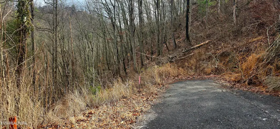 3278 Emerald Springs Loop, Sevierville, TN 37862 - #2