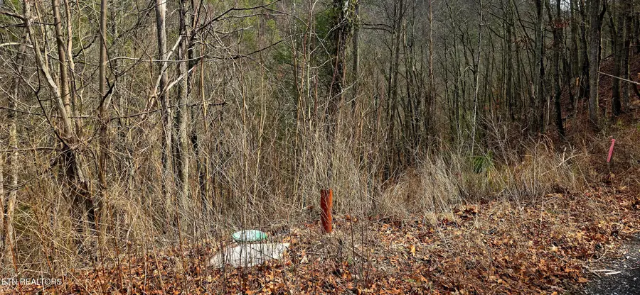 3278 Emerald Springs Loop, Sevierville, TN 37862 - #3