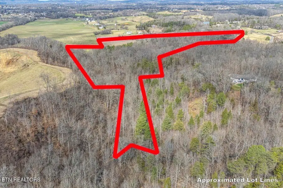 Ellejoy Crossing Way, Walland, TN 37886 - #2