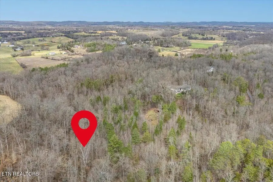 Ellejoy Crossing Way, Walland, TN 37886 - #3