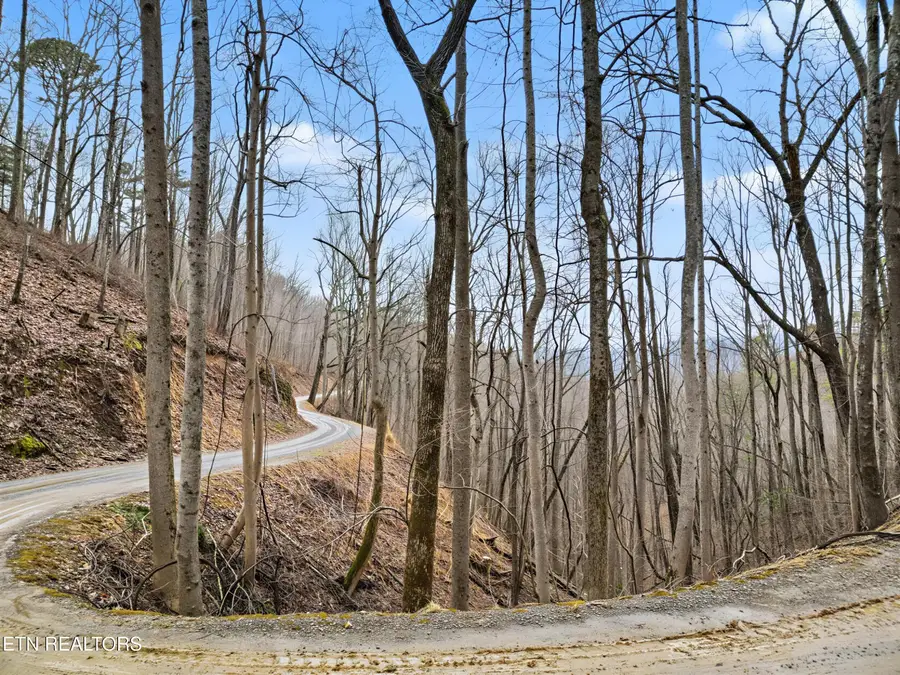 Sugar Maple Loop Rd, Sevierville, TN 37862 - #3