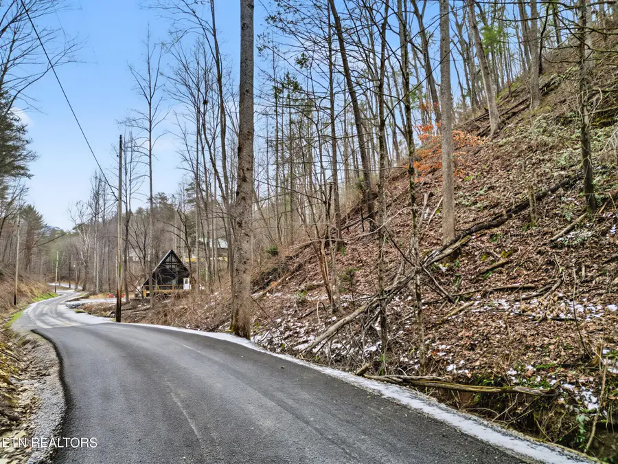 Lot 6 Emerald Springs Loop, Sevierville, TN 37862 - #2