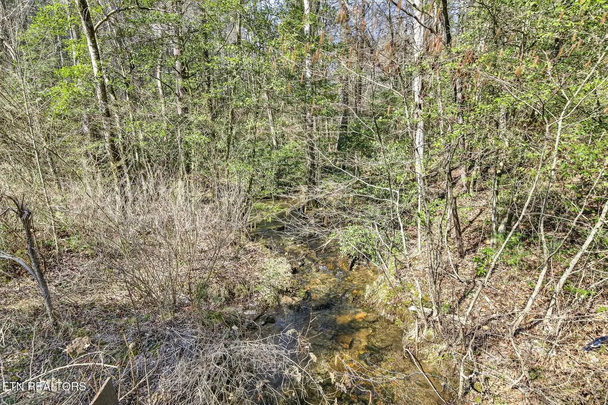60.6 Acres Dogwood Rd, Grandview, TN 37337 - #1