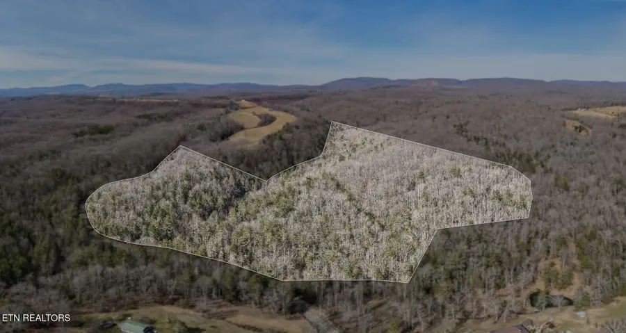 60.6 Acres Dogwood Rd, Grandview, TN 37337 - #3