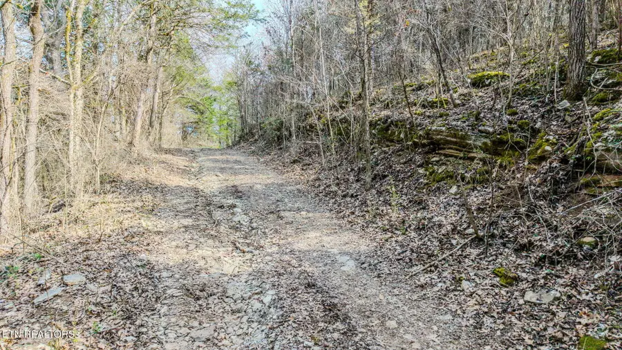 9406 Heiskell Rd, Heiskell, TN 37754 - #2