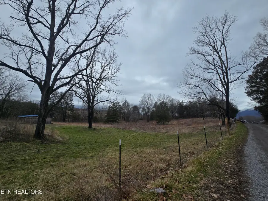 Doc Hurst Rd, Ewing, VA 24248 - #3