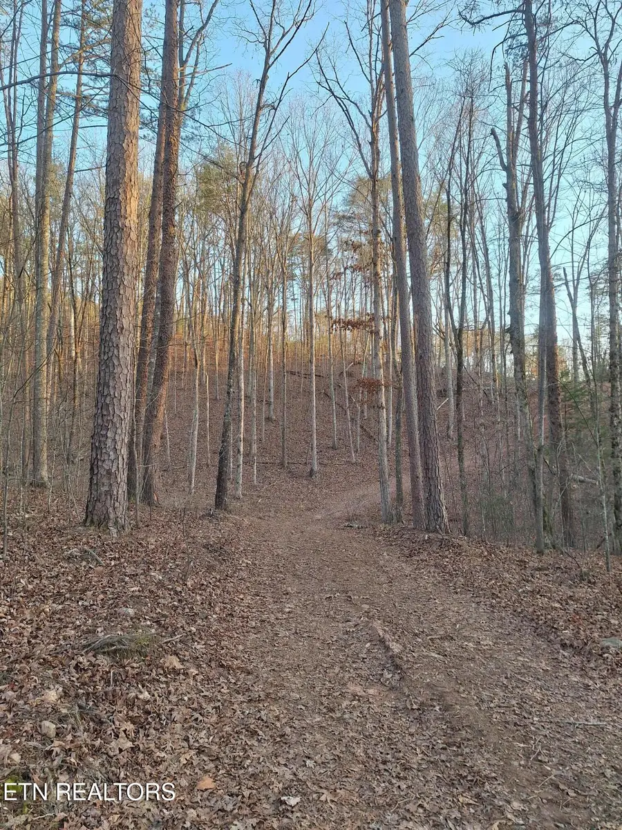 14ac Mecca Pike, Tellico Plains, TN 37385 - #2