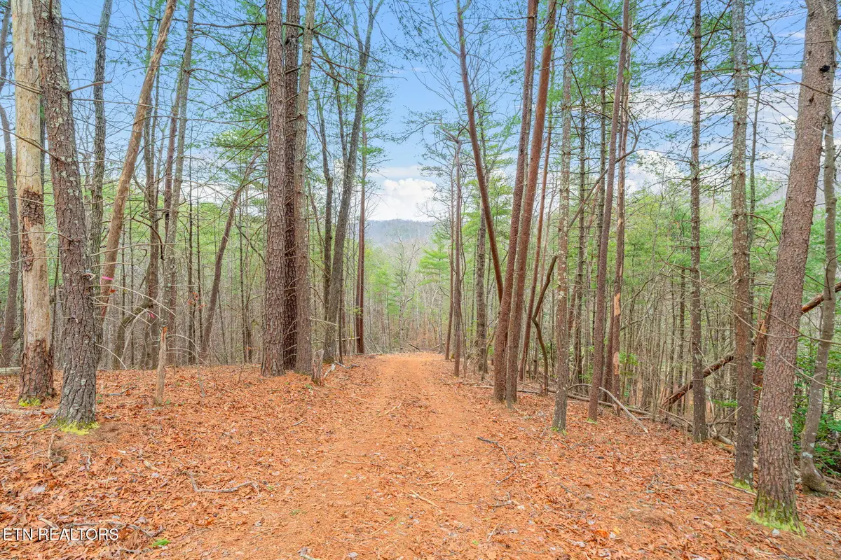 Rafter Rd #129 019.02, Tellico Plains, TN 37385 - #1