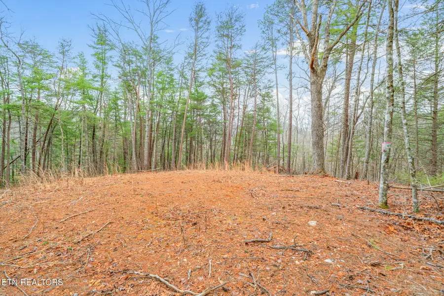 Rafter Rd #129 019.02, Tellico Plains, TN 37385 - #3