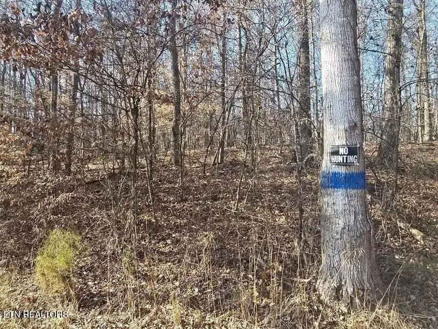 Lot 16 River Rd, Decatur, TN 37322 - #3