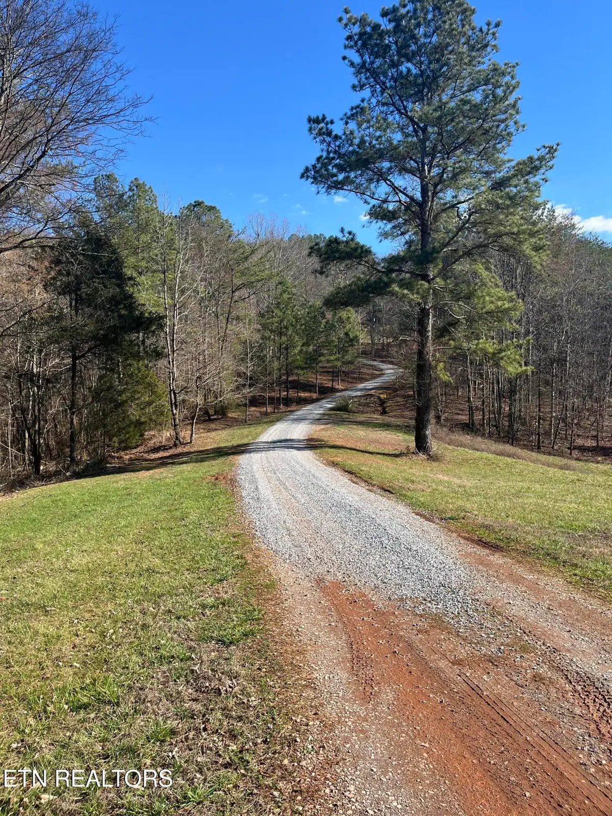 343 Cr 758, Riceville, TN 37370 - #1
