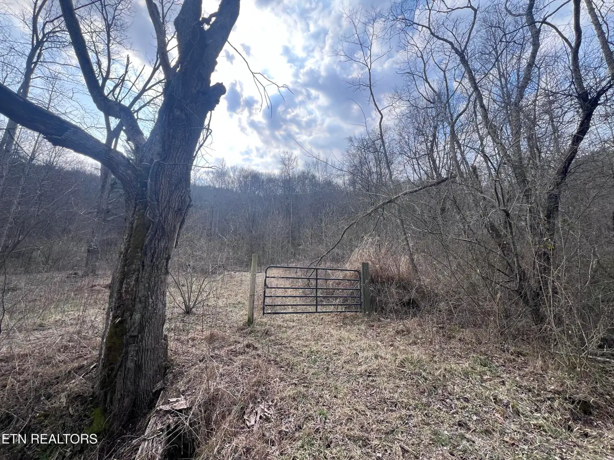 603 Sled Creek Rd, Duff, TN 37729 - #1